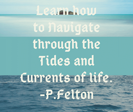 my insight coaching 1