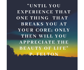 my insight coaching 3