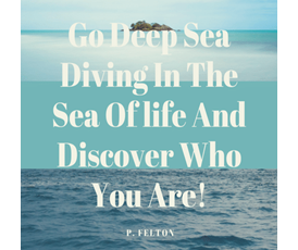 my insight coaching 4