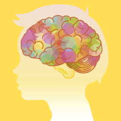 my insight coaching child